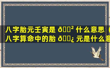 八字胎元壬寅是 🌲 什么意思（八字算命中的胎 🌿 元是什么意思）